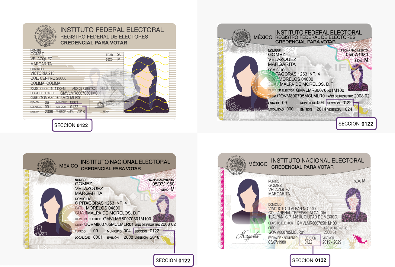 Modelo de credencial de elector con la sección resaltada en pantalla grande