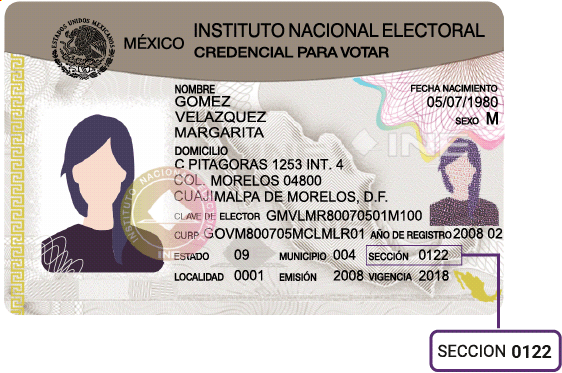 Modelo 2 de credencial de elector con sección visible