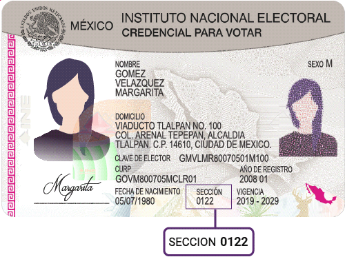 Modelo 3 de credencial de elector con sección visible